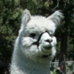 Tumalo